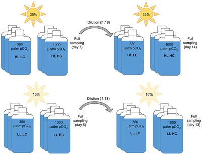 Functional Redundancy Facilitates Resilience of Subarctic Phytoplankton Assemblages toward Ocean Acidification and High Irradiance